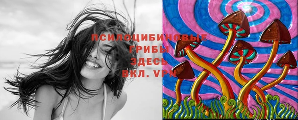гидропоника Абаза