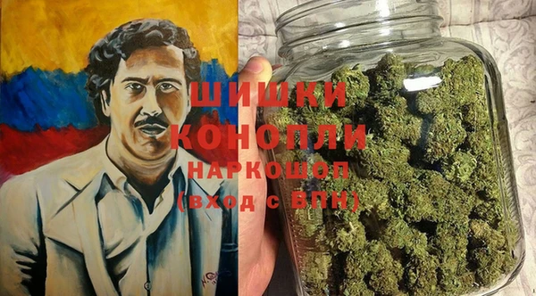 ГАЛЛЮЦИНОГЕННЫЕ ГРИБЫ Алзамай