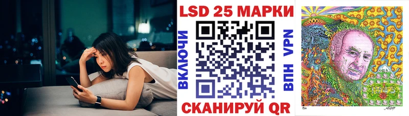закладки  Дубовка  Марки N-bome 1,8мг 