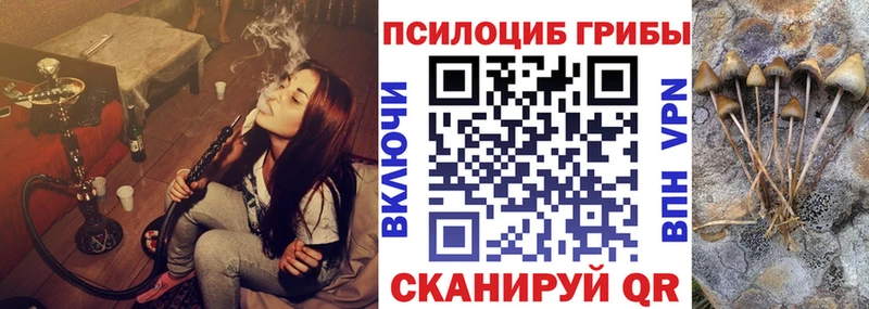 Галлюциногенные грибы ЛСД Дубовка